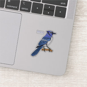 Blue jay bird cartoon illustration 