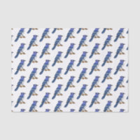 Blue jay bird cartoon illustration
