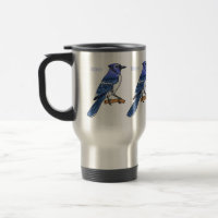 Blue jay bird cartoon illustration