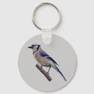 Blue Jay Bird Keychain