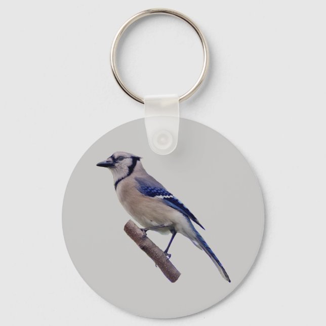 Blue Jay Bird Keychain (Front)