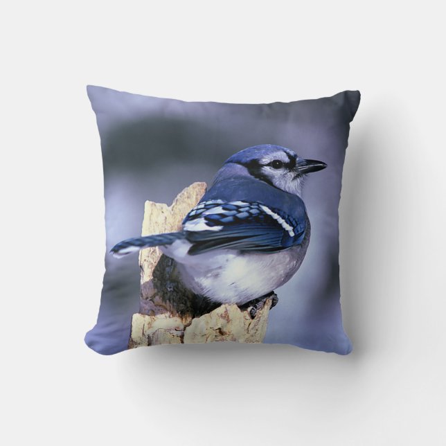 Blue Jay Bird Lovers Throw Pillow (Front)