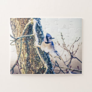 Blue Jay Bird Oversized Jigsaw Puzzle