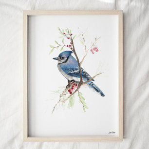 Blue Jay Bird Watercolor  Art  Poster