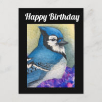 Blue Jay Bird Wildlife Happy Birthday