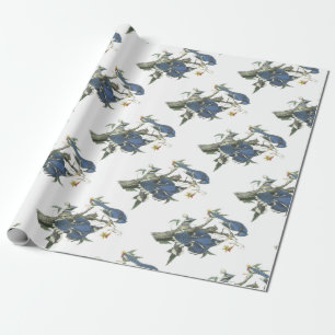 Blue Jay by Audubon Wrapping Paper
