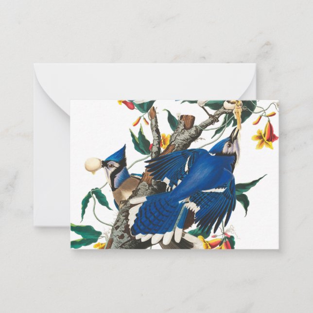 Blue Jay by John James Audubon Card (Front)
