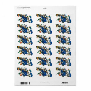 Blue Jay by John James Audubon Label