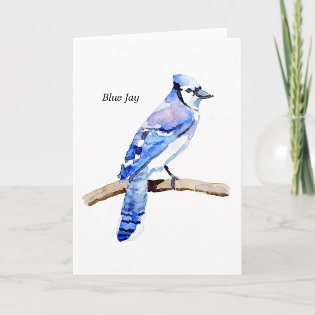 Blue Jay Card (Front)