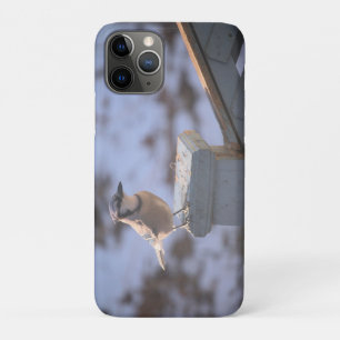 Blue Jay iPhone 11 Pro Case