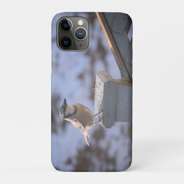 Blue Jay Case-Mate iPhone Case (Back)