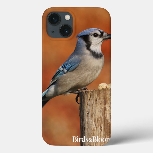 Blue Jay Case-Mate iPhone Case (Back)