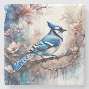 Blue Jay Cherry Blossoms watercolor Stone Coaster