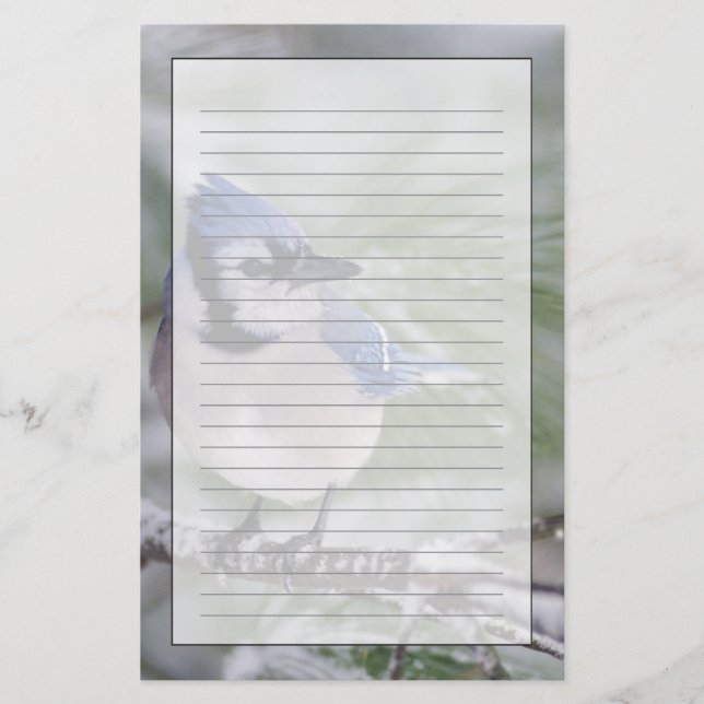 Blue Jay, Cyanocitta cristata Stationery (Front)