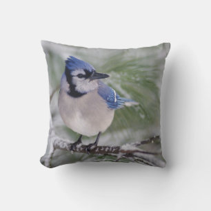 Blue Jay, Cyanocitta cristata Throw Pillow