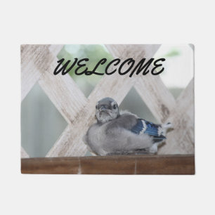 Blue Jay Doormat