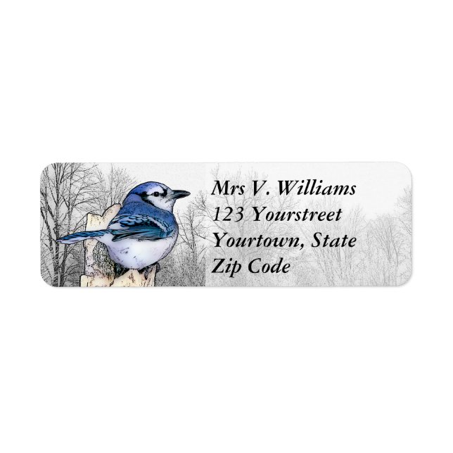 Blue Jay Drawing Return Address Label (Front)