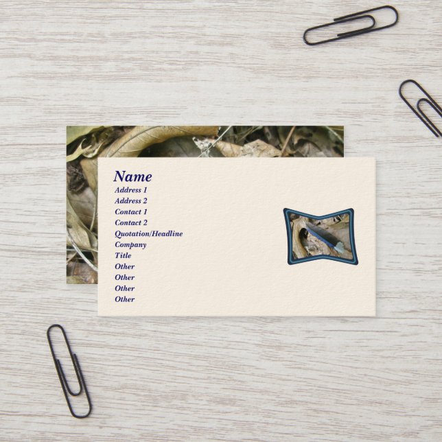 Blue Jay Feather Coordinating Items Business Card (Front/Back In Situ)