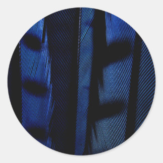 Blue jay feathers classic round sticker