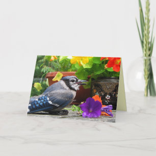 Blue Jay Flowers Mother's Day Card