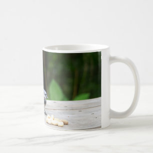 Blue Jay getting a peanut Coffee Mug