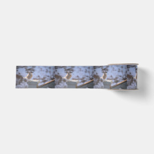 Blue Jay Grosgrain Ribbon