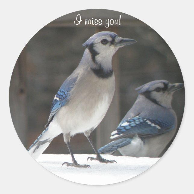 Blue Jay: I Miss You Sticker (Front)