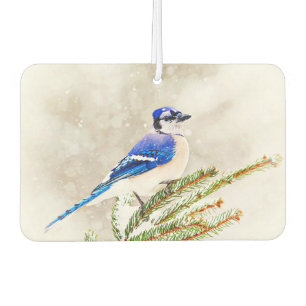 Blue jay in a pine tree with snow car air freshener