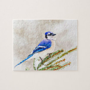 Blue jay in a pine tree with snow jigsaw puzzle