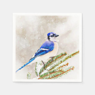 Blue jay in a pine tree with snow napkin