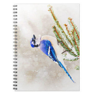Blue jay in a pine tree with snow notebook