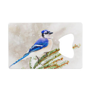 Blue jay in a pine tree with snow wallet bottle opener