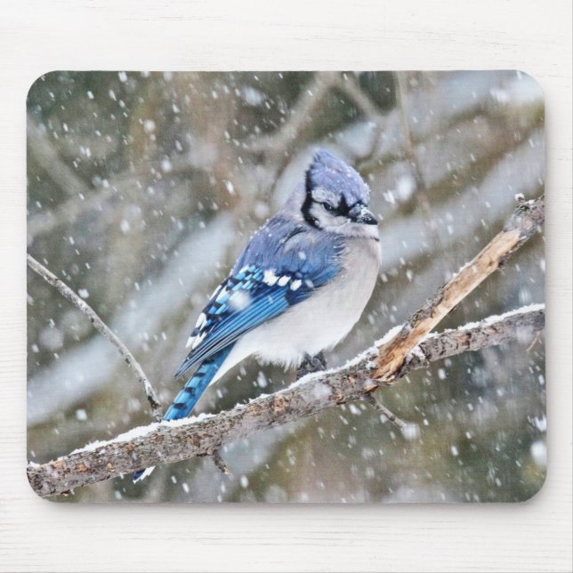 Blue Jay in a Snowstorm Mouse Pad (Front)