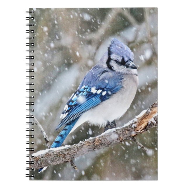 Blue Jay in a Snowstorm Notebook (Front)