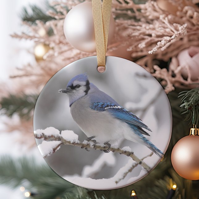 Blue Jay in Algonquin Park Ceramic Ornament (Creator Uploaded)