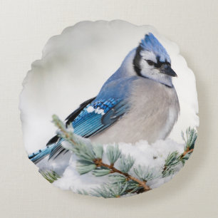 Blue Jay in Blue Atlas Cedar Round Pillow