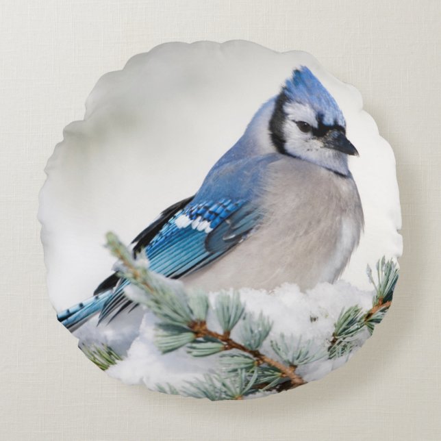 Blue Jay in Blue Atlas Cedar Round Pillow (Front)
