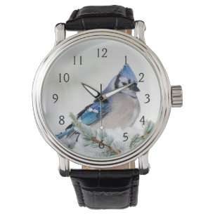 Blue Jay in Blue Atlas Cedar Watch