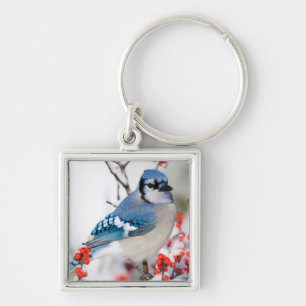 Blue Jay in Common Winterberry Keychain