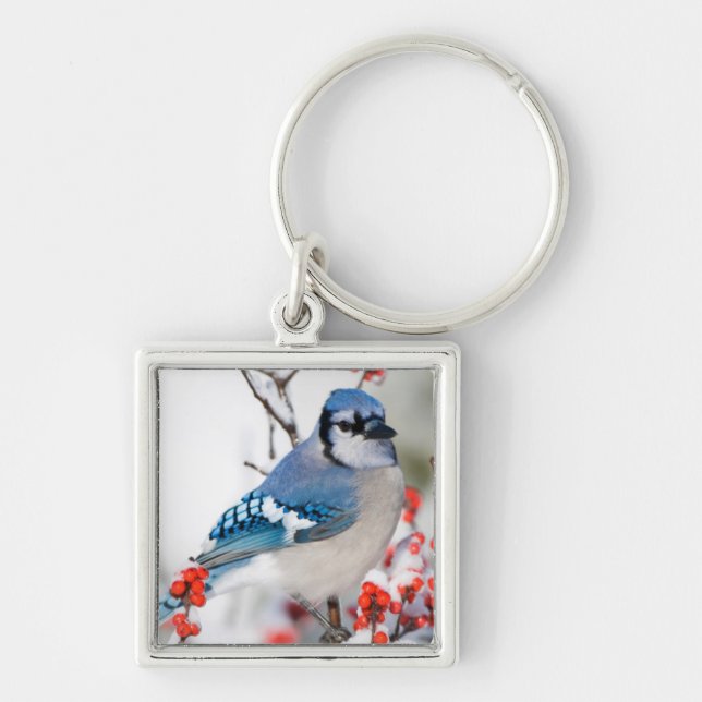 Blue Jay in Common Winterberry Keychain (Front)