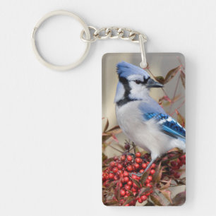 Blue Jay in Nandina Heavenly Bamboo Keychain