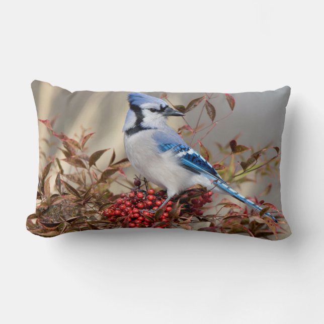 Blue Jay in Nandina Heavenly Bamboo Lumbar Pillow (Front)