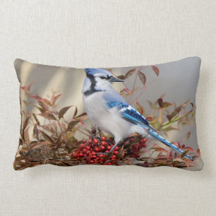 Blue Jay in Nandina Heavenly Bamboo Lumbar Pillow