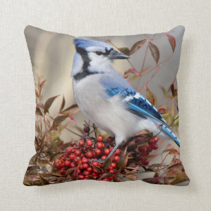 Blue Jay in Nandina Heavenly Bamboo Throw Pillow