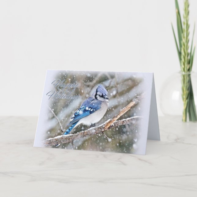Blue Jay in Snow Christmas Holiday (Front)
