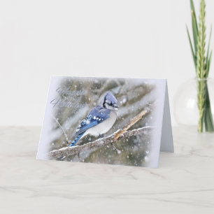 Blue Jay in Snow Christmas Holiday Card