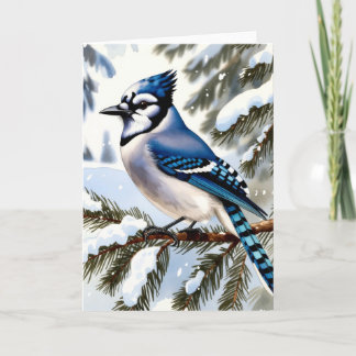 Blue Jay in Snowy Pines Winter Greeting Card