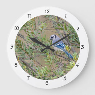 Blue Jay in Southern Wax Myrtle Wall Clock