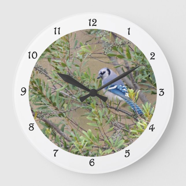 Blue Jay in Southern Wax Myrtle Wall Clock (Front)