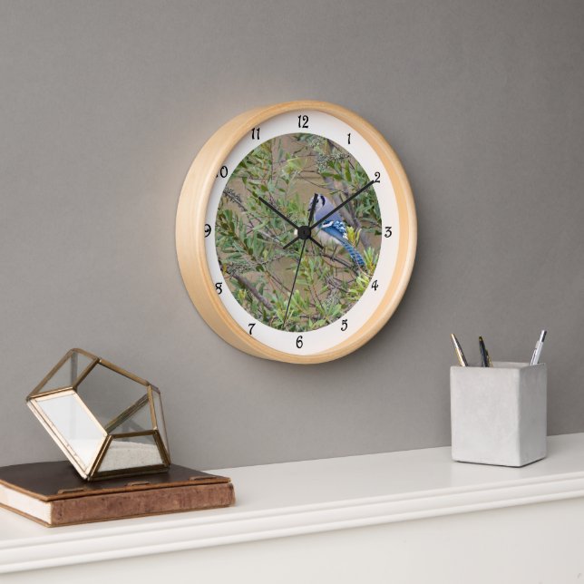 Blue Jay in Southern Wax Myrtle Wall Clock (Office)
